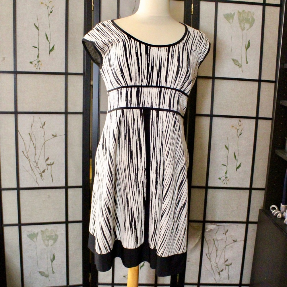 Never Worn! Papillon Blanc Dress10